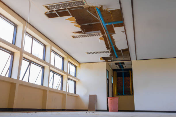 Best Flood restoration services  in Rankin, PA