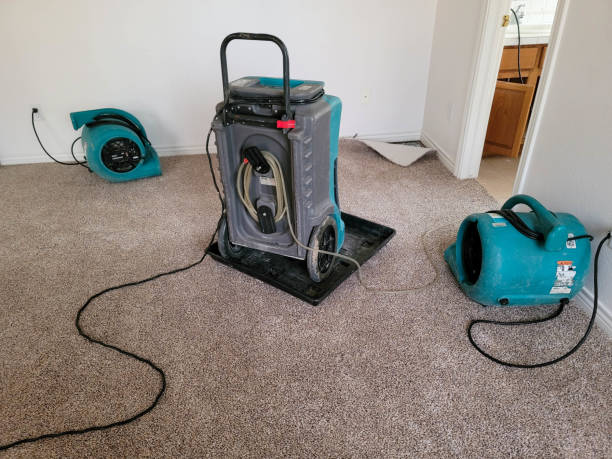 Best Basement water damage restoration  in Rankin, PA