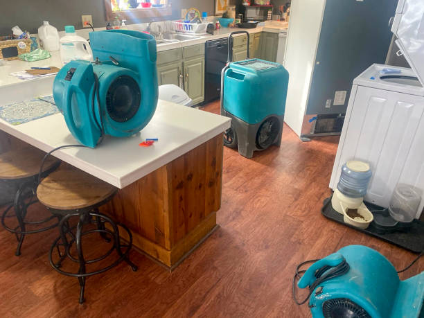 Water damage restoration mold remediation in Rankin, PA