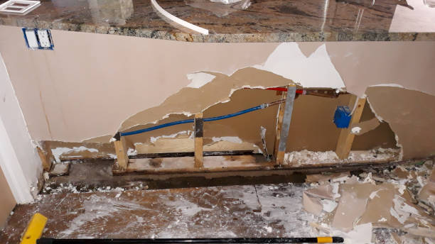 Best Ceiling water damage repair  in Rankin, PA