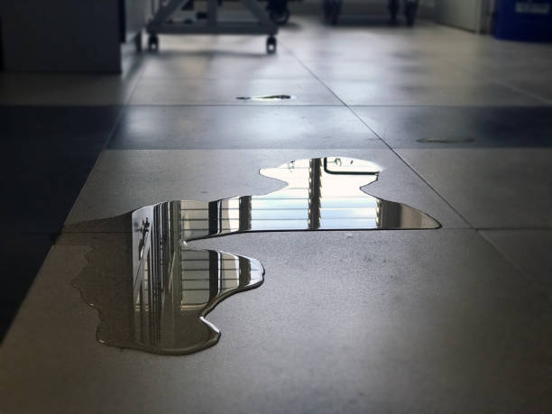 Best Commercial water damage restoration  in Rankin, PA