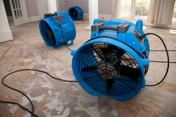 Best Ceiling water damage repair  in Rankin, PA