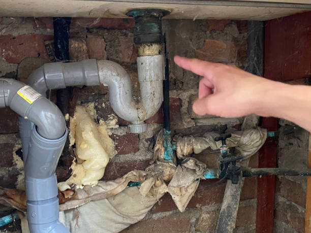 Best Local water damage restoration  in Rankin, PA